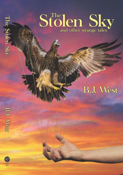 Cover of the book The Stolen Sky and other strange tales by B.J. West, John R. Mabry