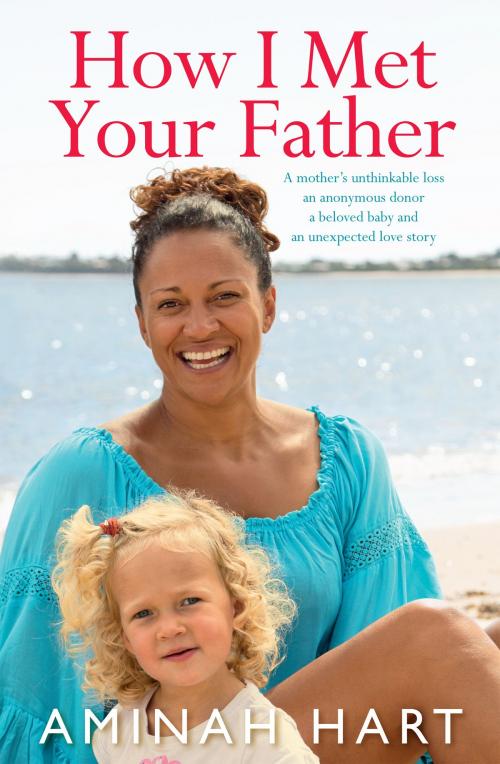 Cover of the book How I Met Your Father by Aminah Hart, Allen & Unwin