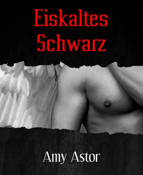 Cover of the book Eiskaltes Schwarz by Amy Astor, BookRix