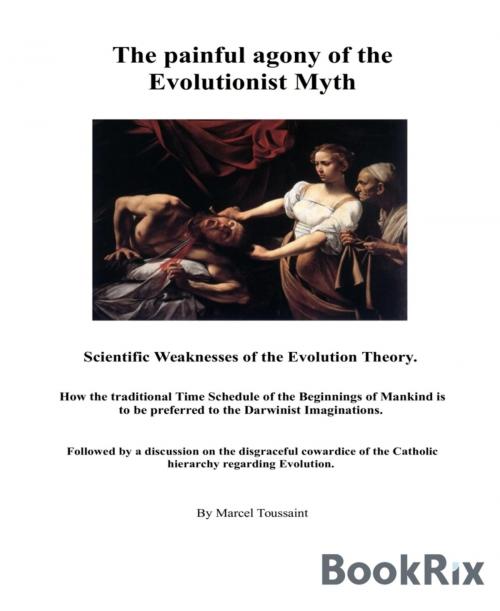 Cover of the book The painful agony of the Evolutionist Myth by Marcel Toussaint, BookRix