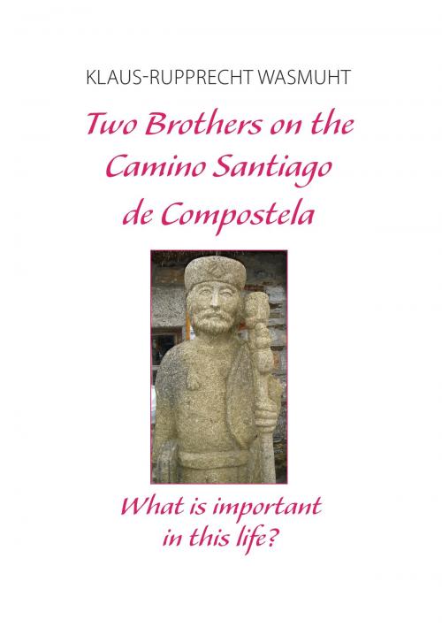 Cover of the book Two Brothers on the Camino Santiago de Compostela by Klaus-Rupprecht Wasmuht, Books on Demand