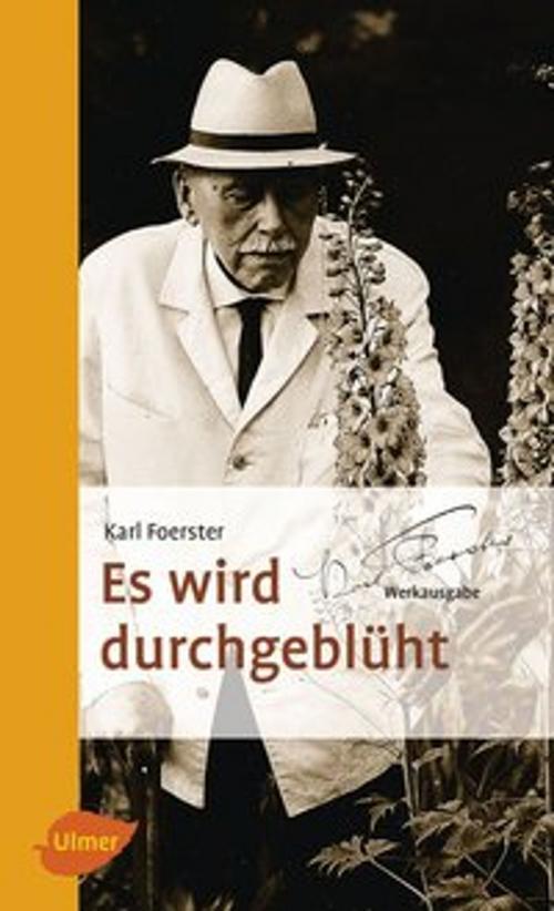 Cover of the book Es wird durchgeblüht by Karl Foerster, Verlag Eugen Ulmer