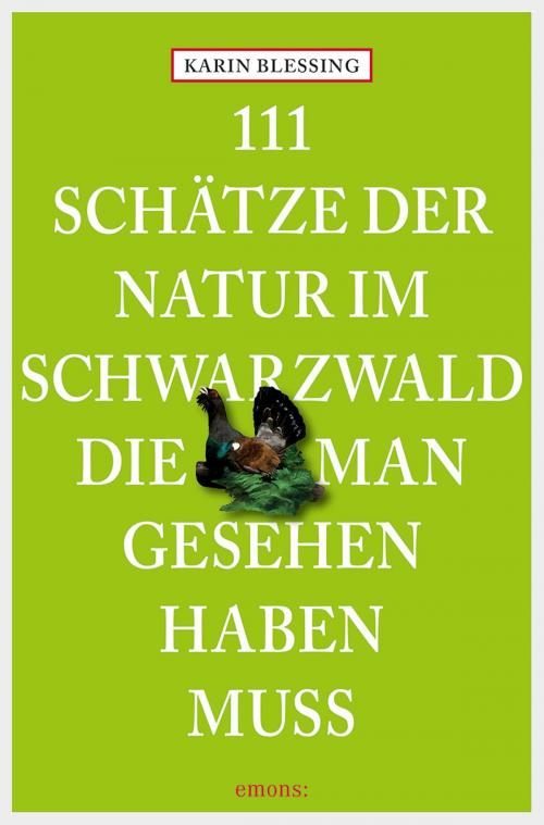 Cover of the book 111 Schätze der Natur im Schwarzwald, die man gesehen haben muss by Karin Blessing, Emons Verlag