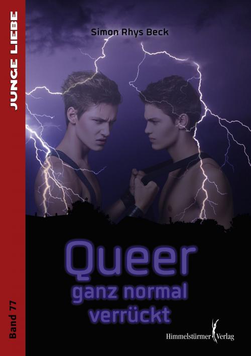 Cover of the book Queer - ganz normal verrückt by Simon Rhys Beck, Himmelstürmer Verlag