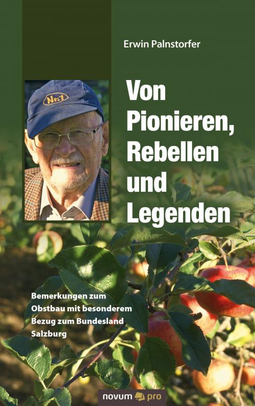 Cover of the book Von Pionieren, Rebellen und Legenden by Erwin Palnstorfer, novum pro Verlag