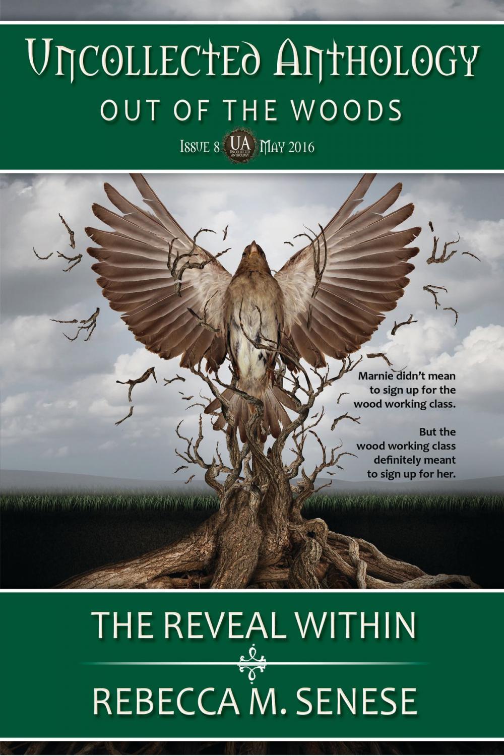 Big bigCover of The Reveal Within