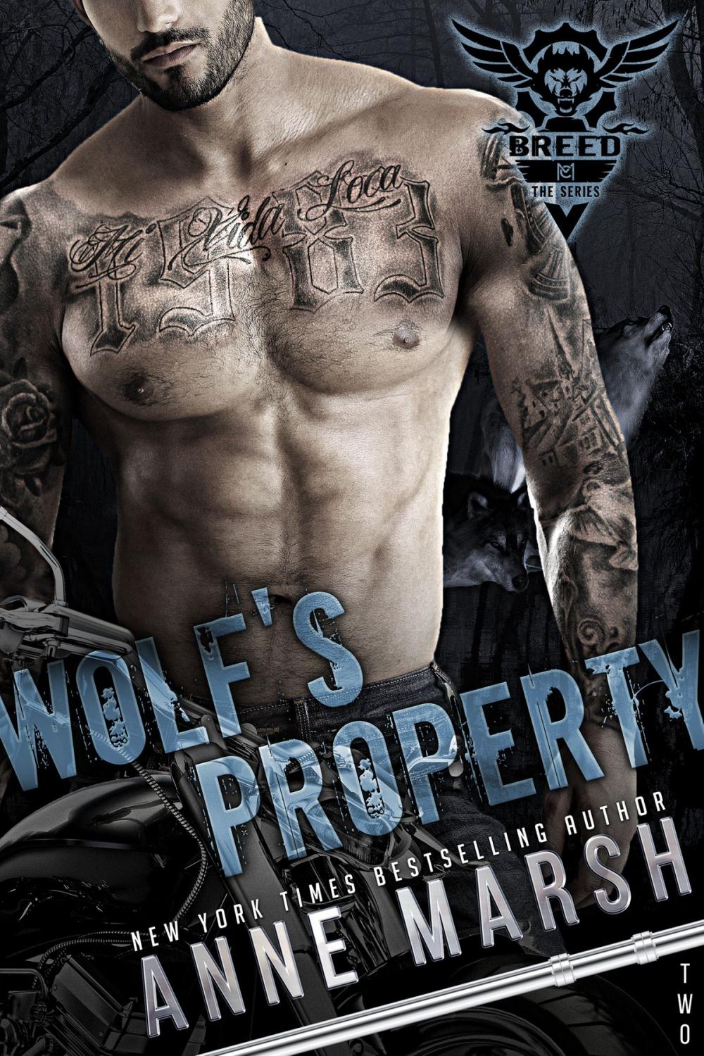 Big bigCover of Wolf's Property