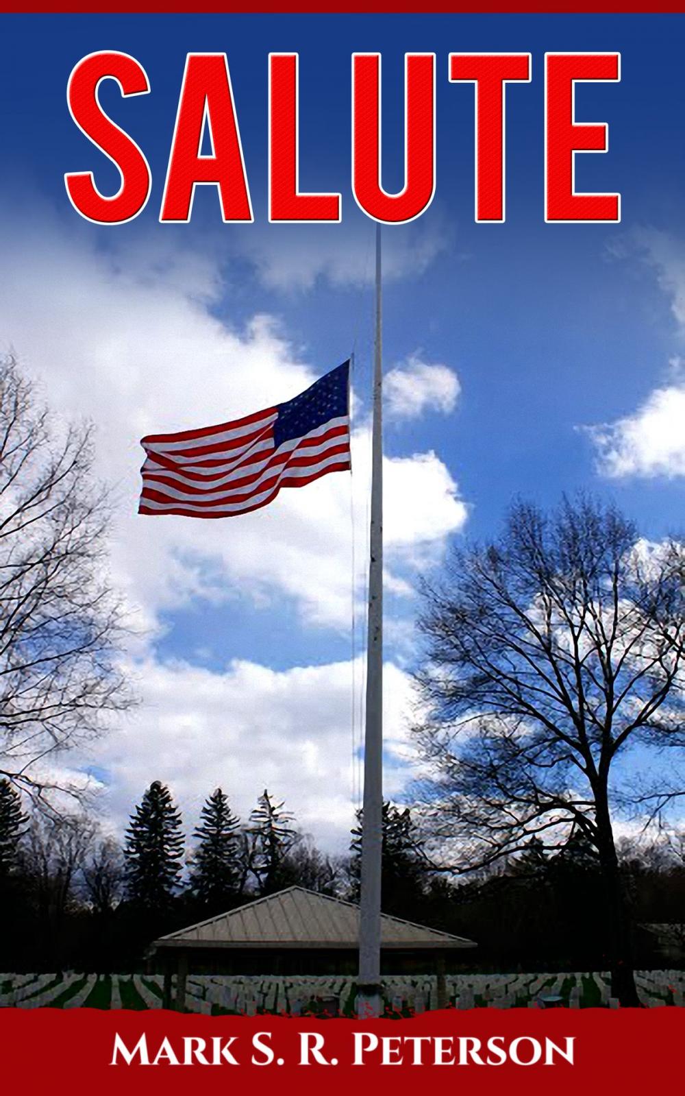 Big bigCover of Salute (A Patriotic Short Story)