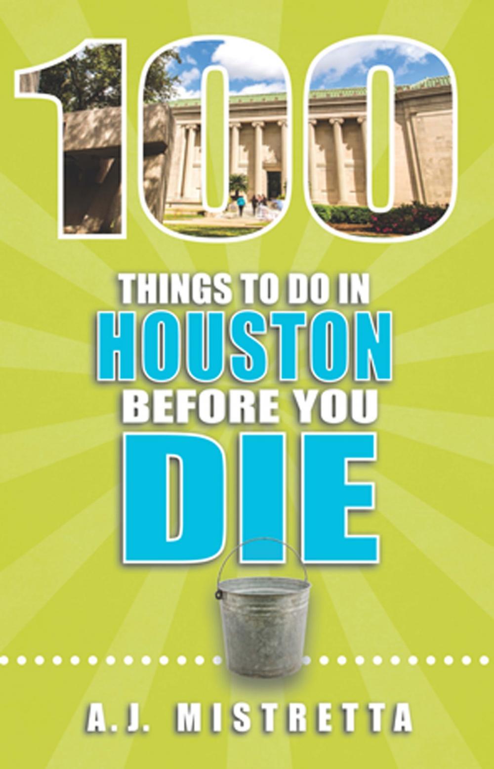 Big bigCover of 100 Things to Do in Houston Before You Die