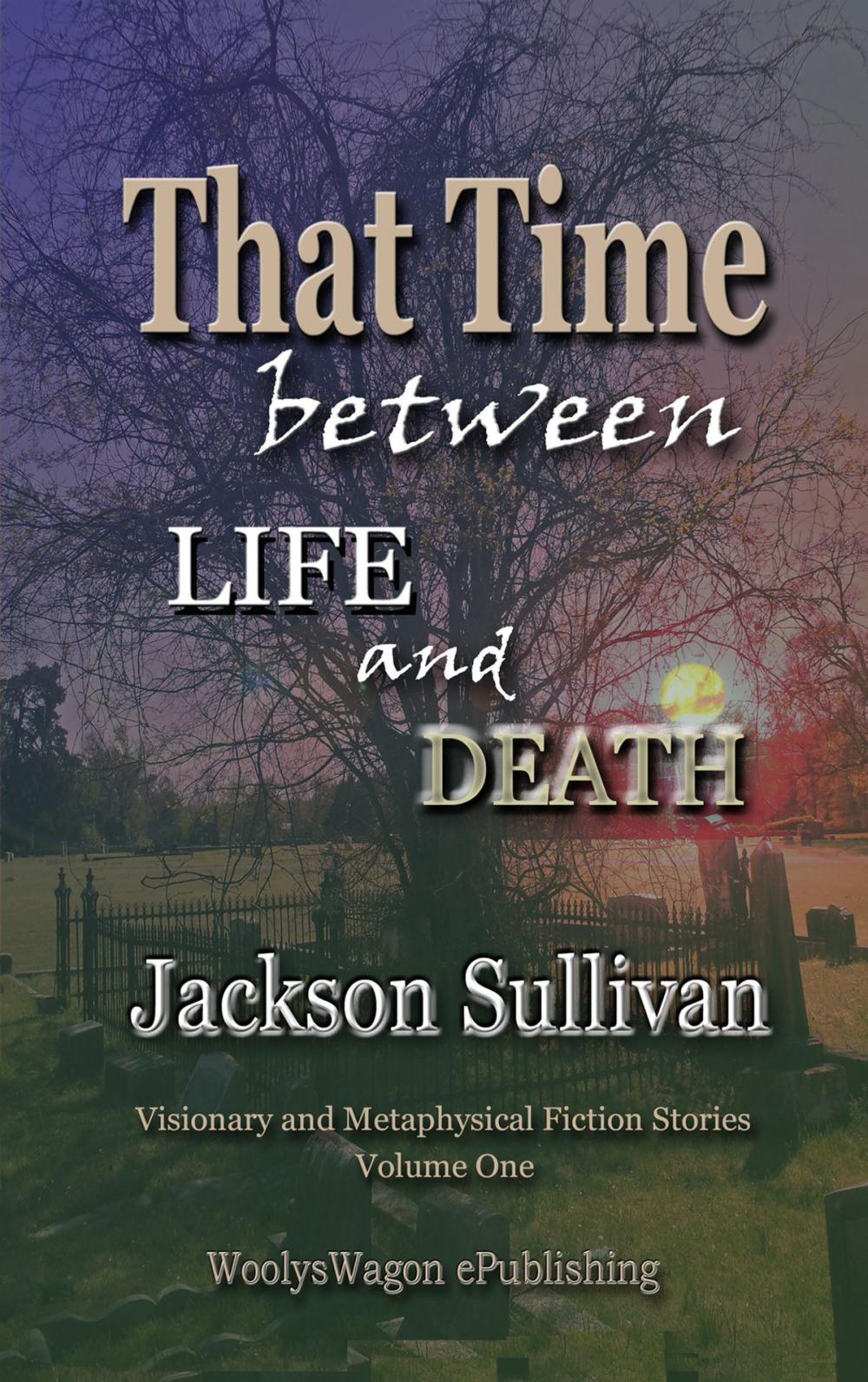 Big bigCover of That Time between LIFE and DEATH V1