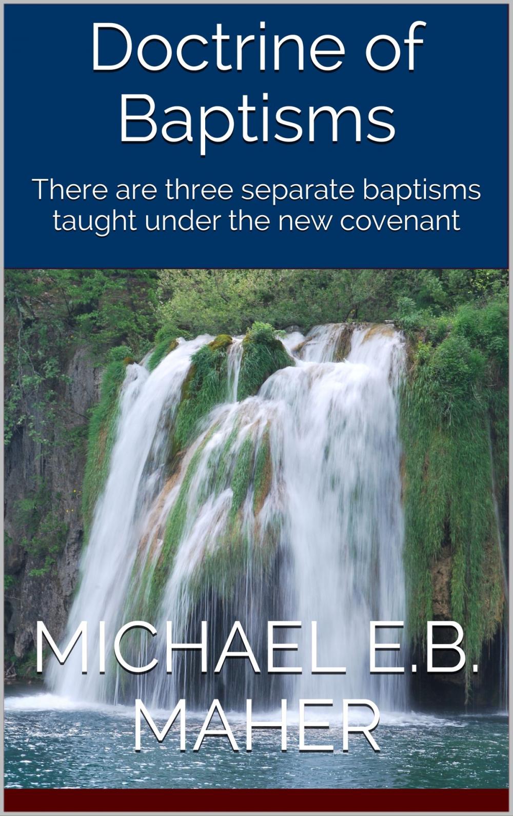 Big bigCover of Doctrine of Baptisms