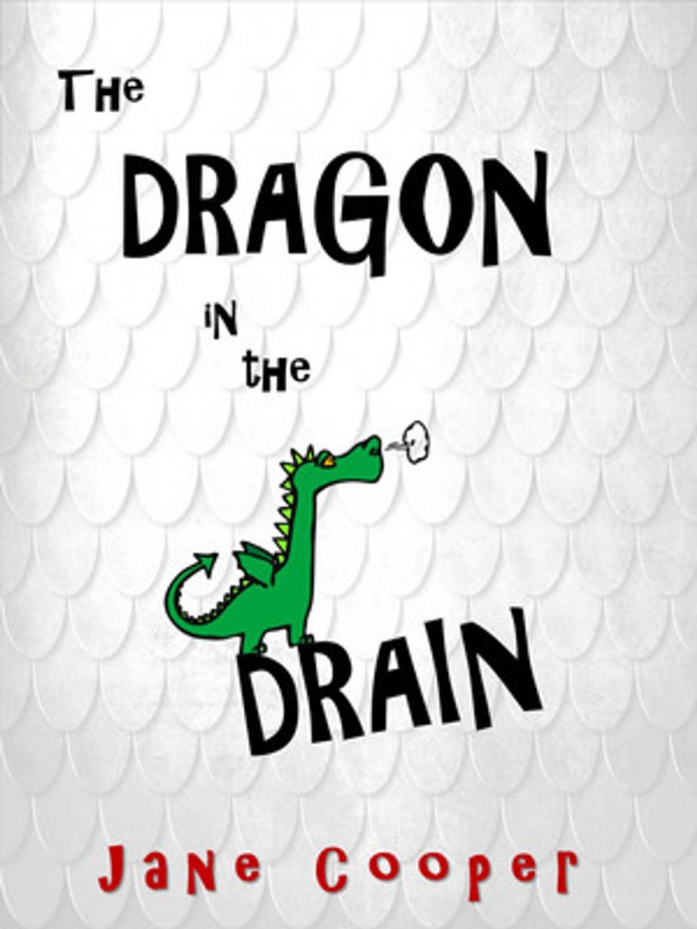 Big bigCover of The Dragon in the Drain