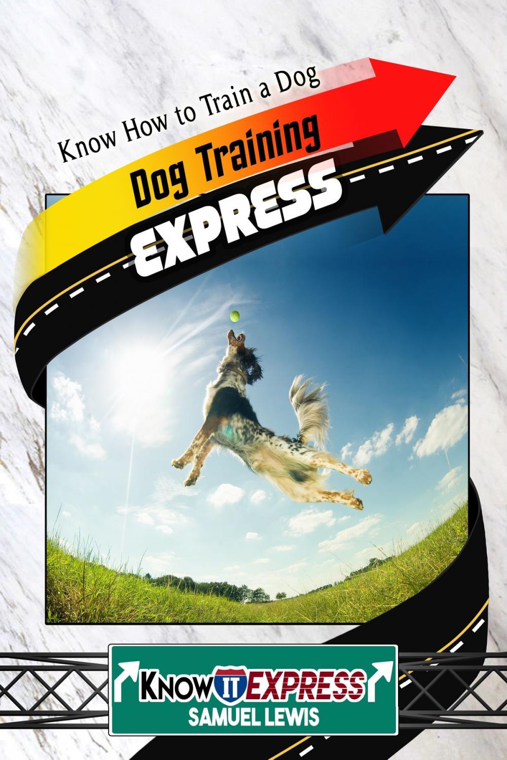 Big bigCover of Dog Training Express