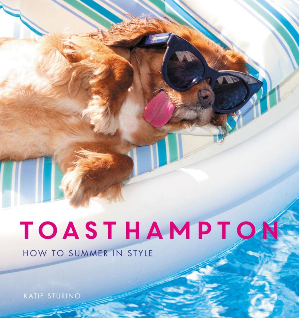 Big bigCover of ToastHampton