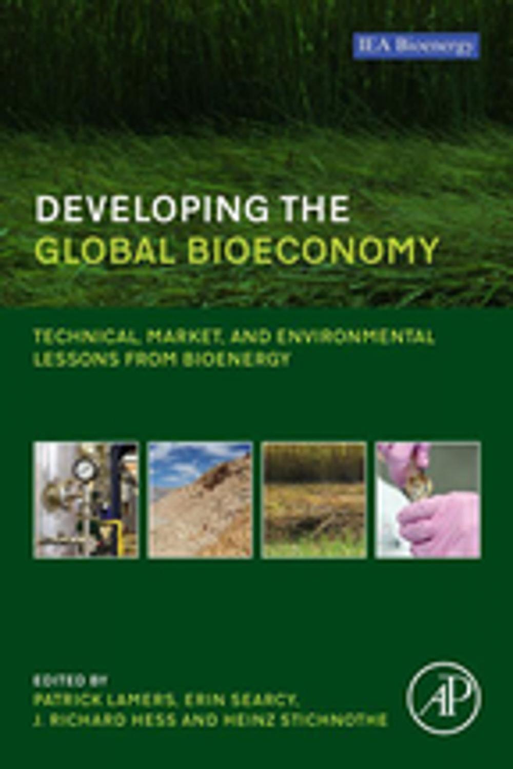 Big bigCover of Developing the Global Bioeconomy