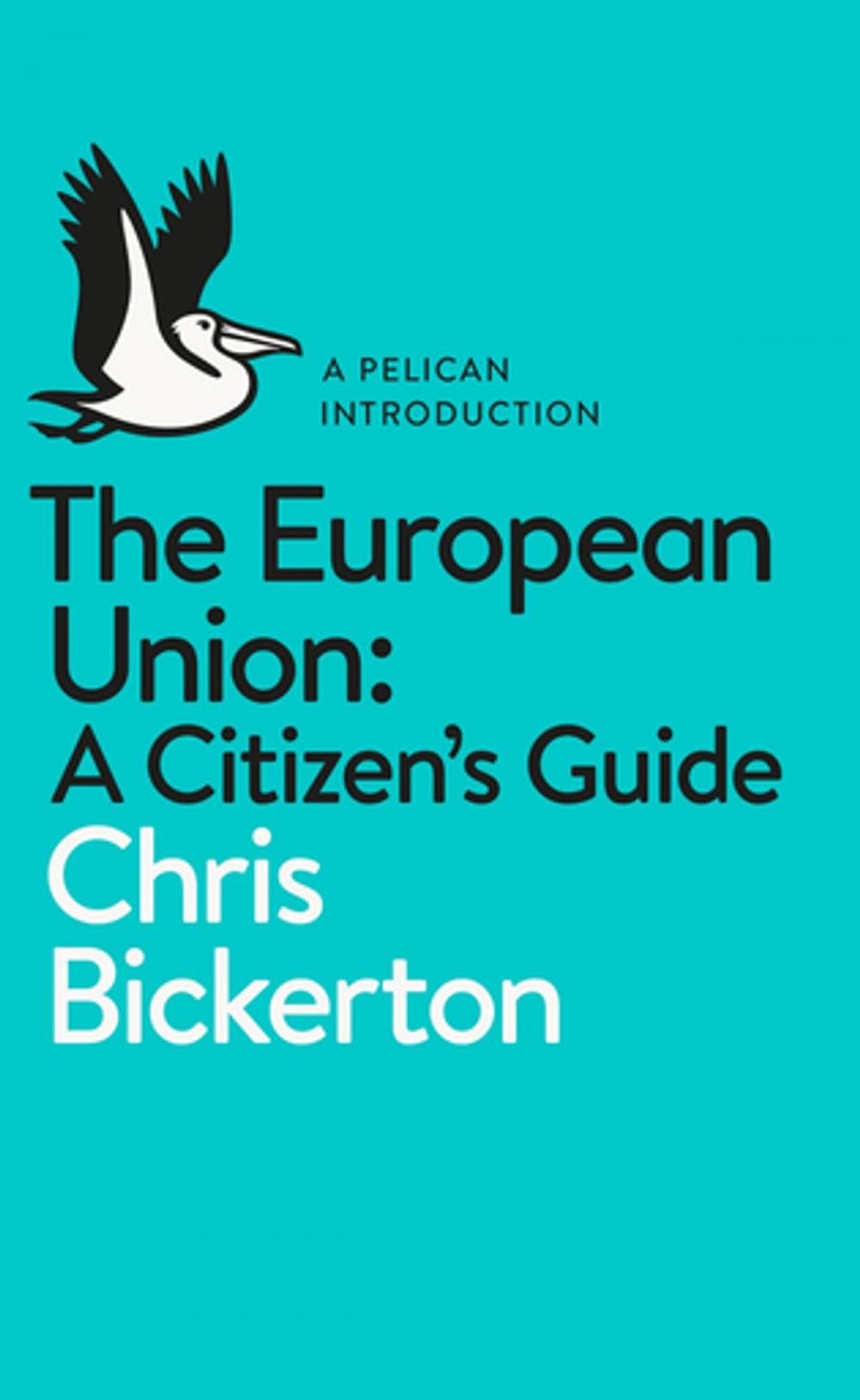 Big bigCover of The European Union: A Citizen's Guide