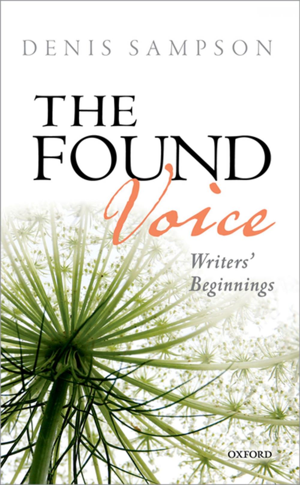 Big bigCover of The Found Voice