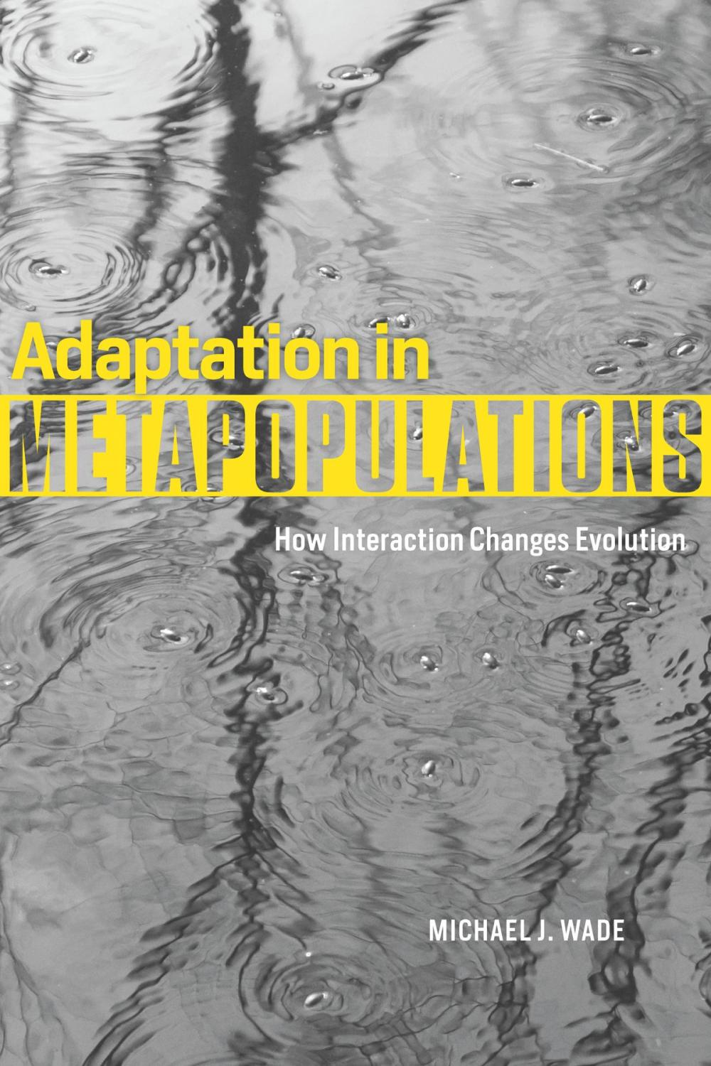 Big bigCover of Adaptation in Metapopulations