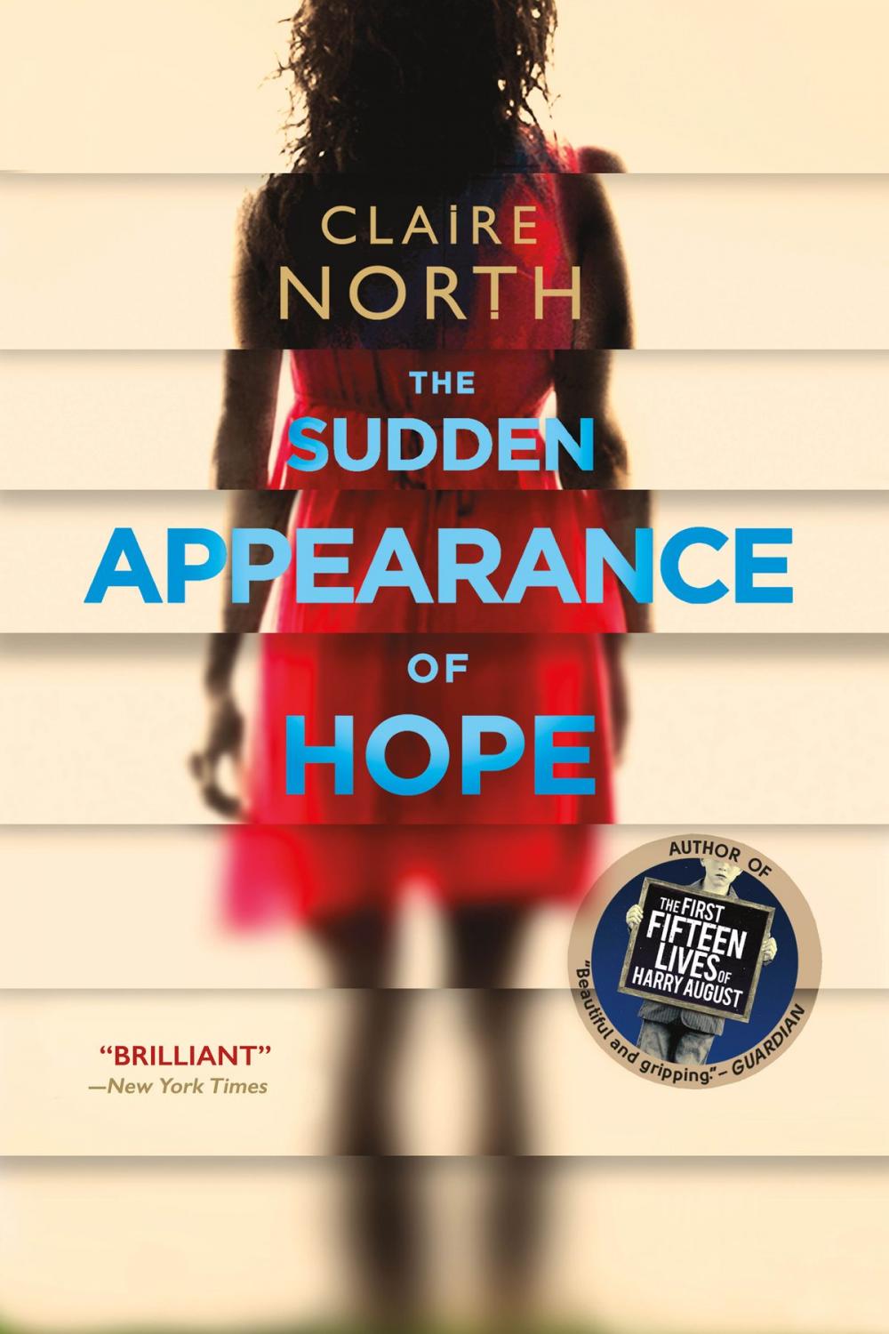 Big bigCover of The Sudden Appearance of Hope