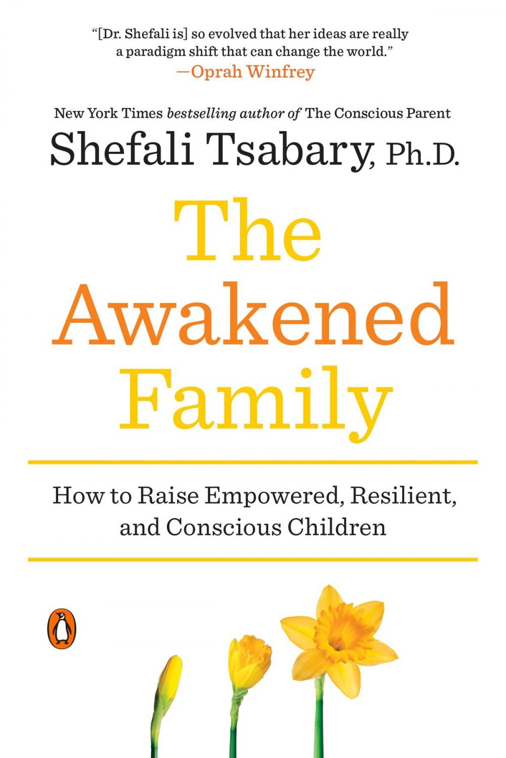 Big bigCover of The Awakened Family