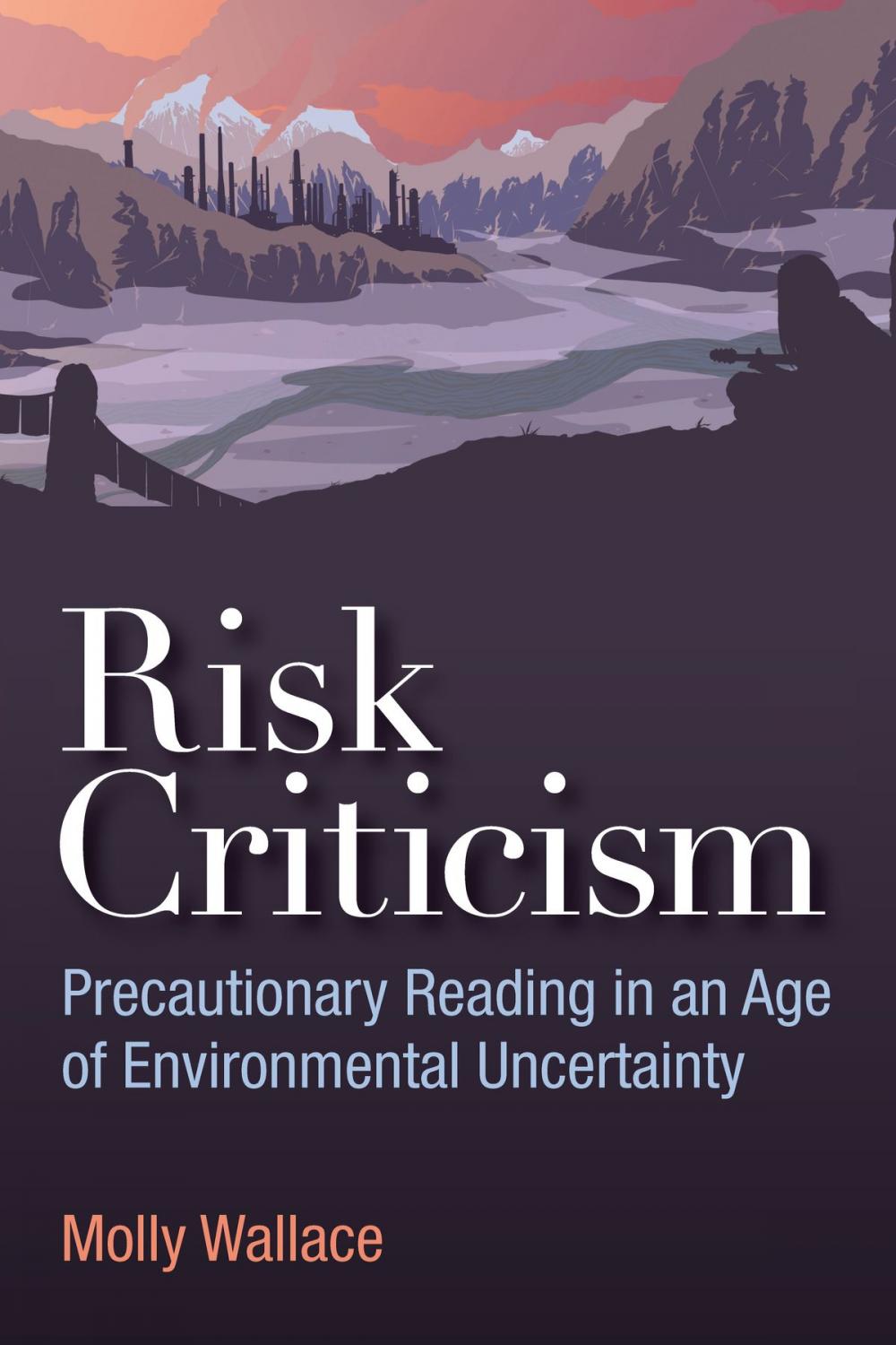 Big bigCover of Risk Criticism