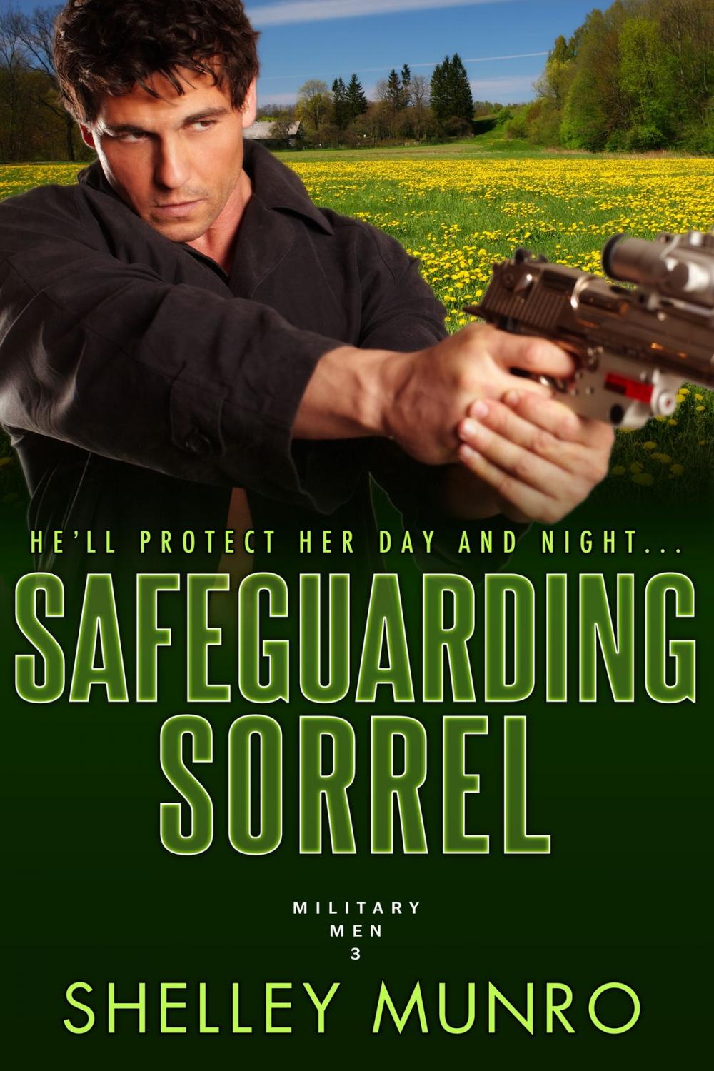 Big bigCover of Safeguarding Sorrel