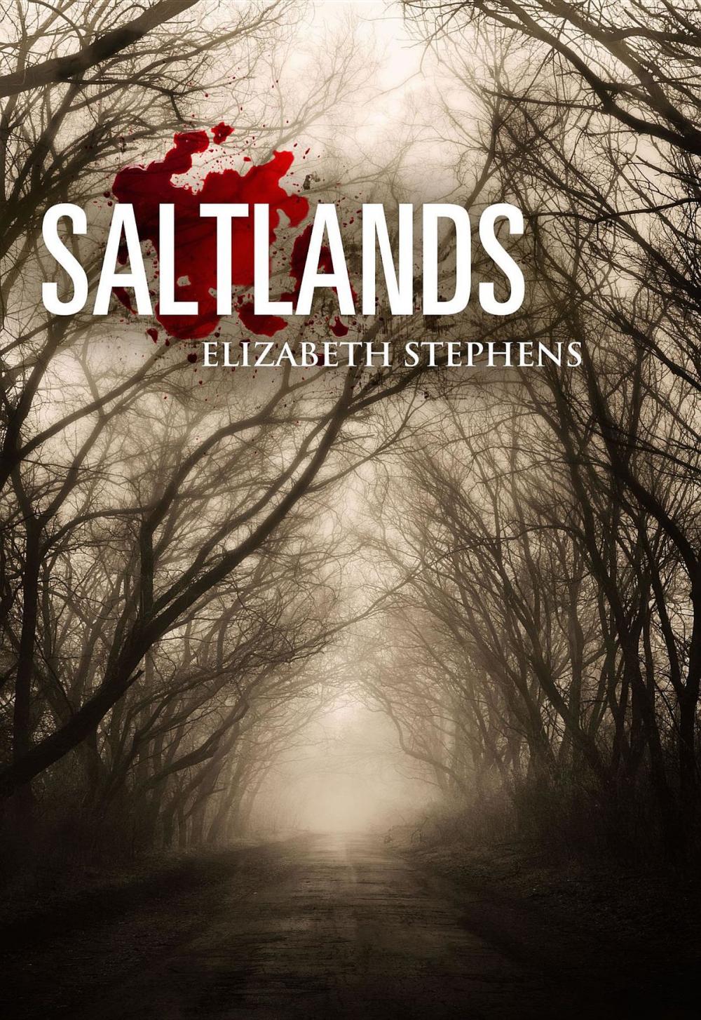 Big bigCover of Saltlands, Population #2 (interracial post apocalyptic scifi romance)