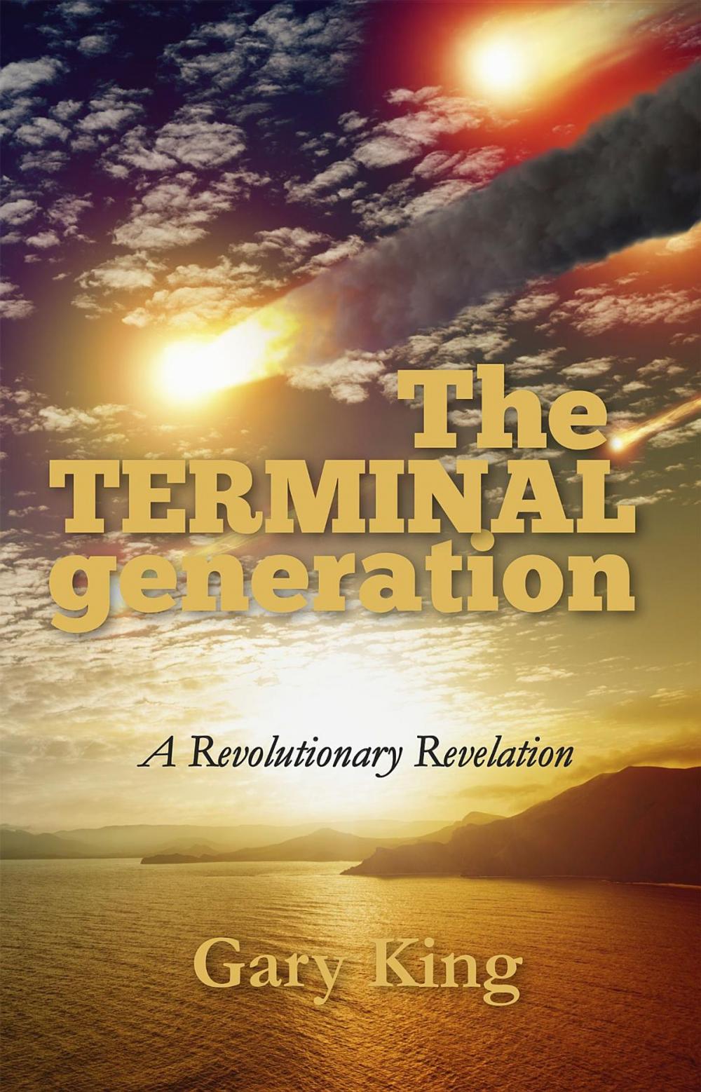 Big bigCover of The Terminal Generation