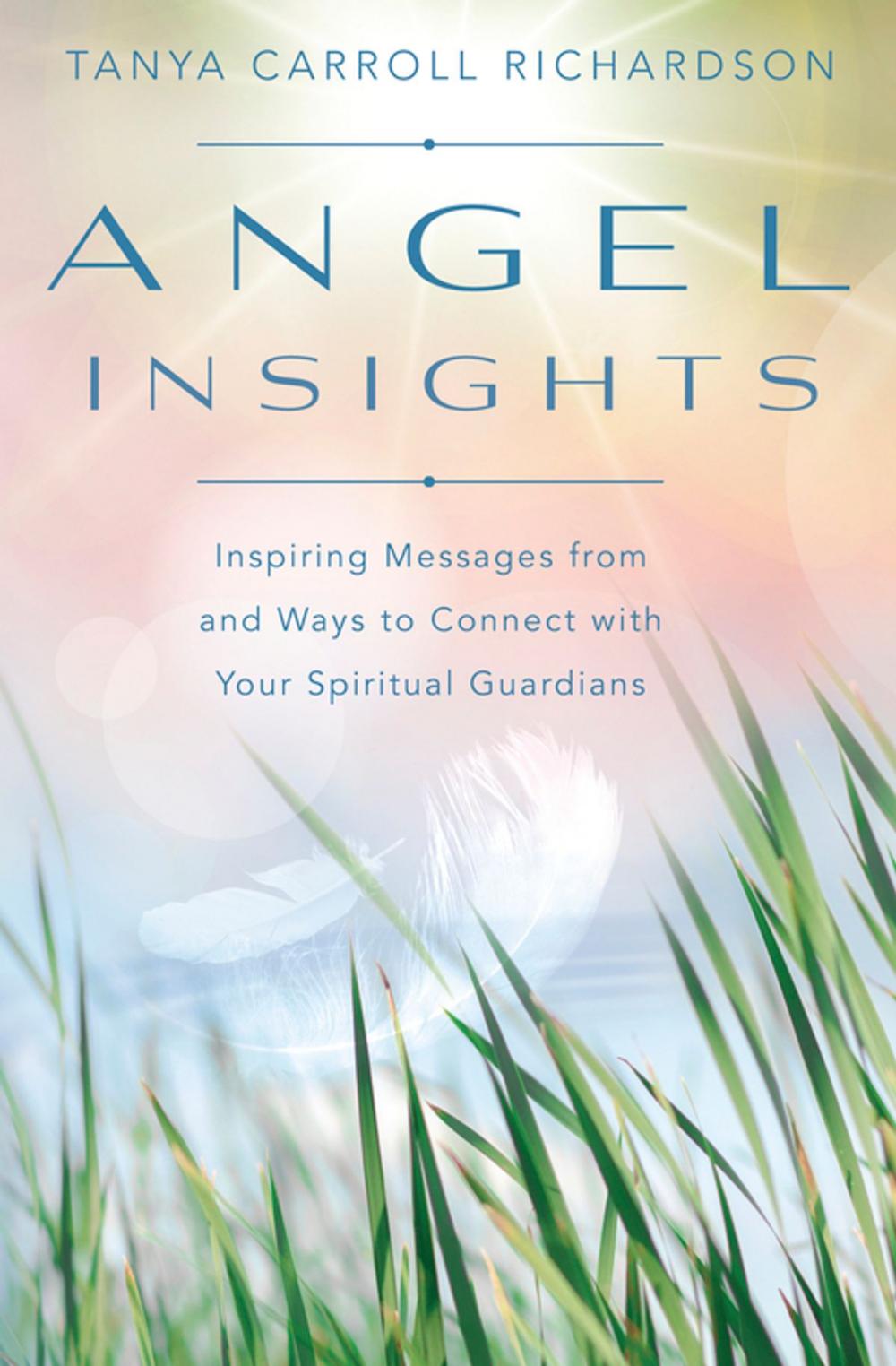 Big bigCover of Angel Insights