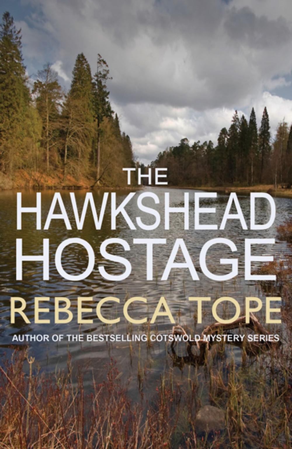 Big bigCover of The Hawkshead Hostage