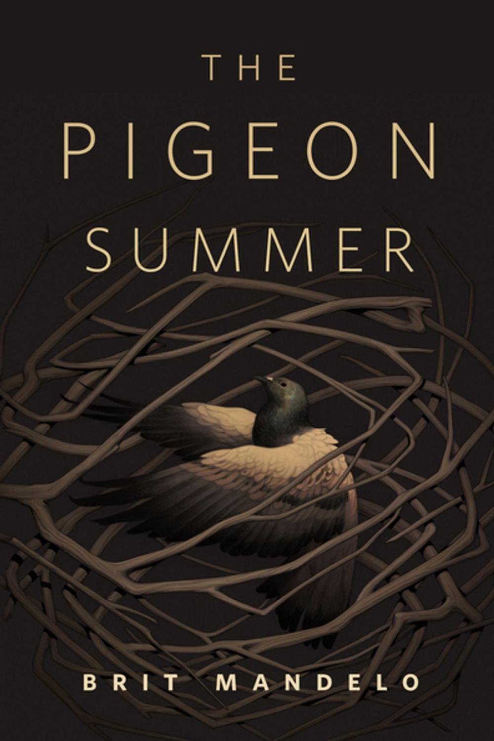 Big bigCover of The Pigeon Summer