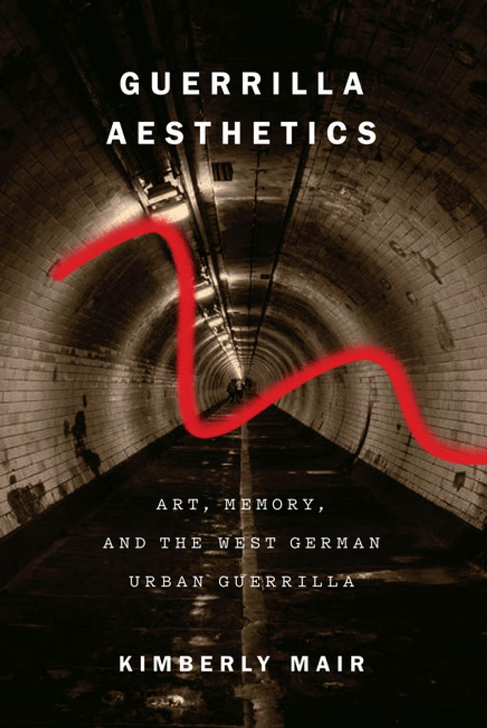 Big bigCover of Guerrilla Aesthetics