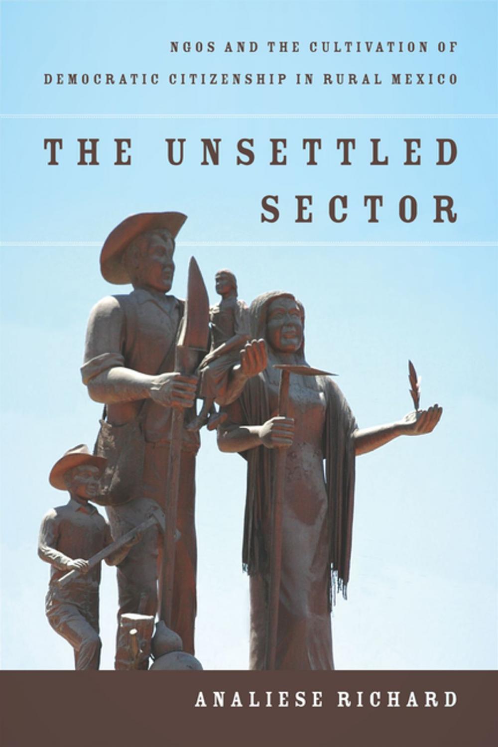 Big bigCover of The Unsettled Sector