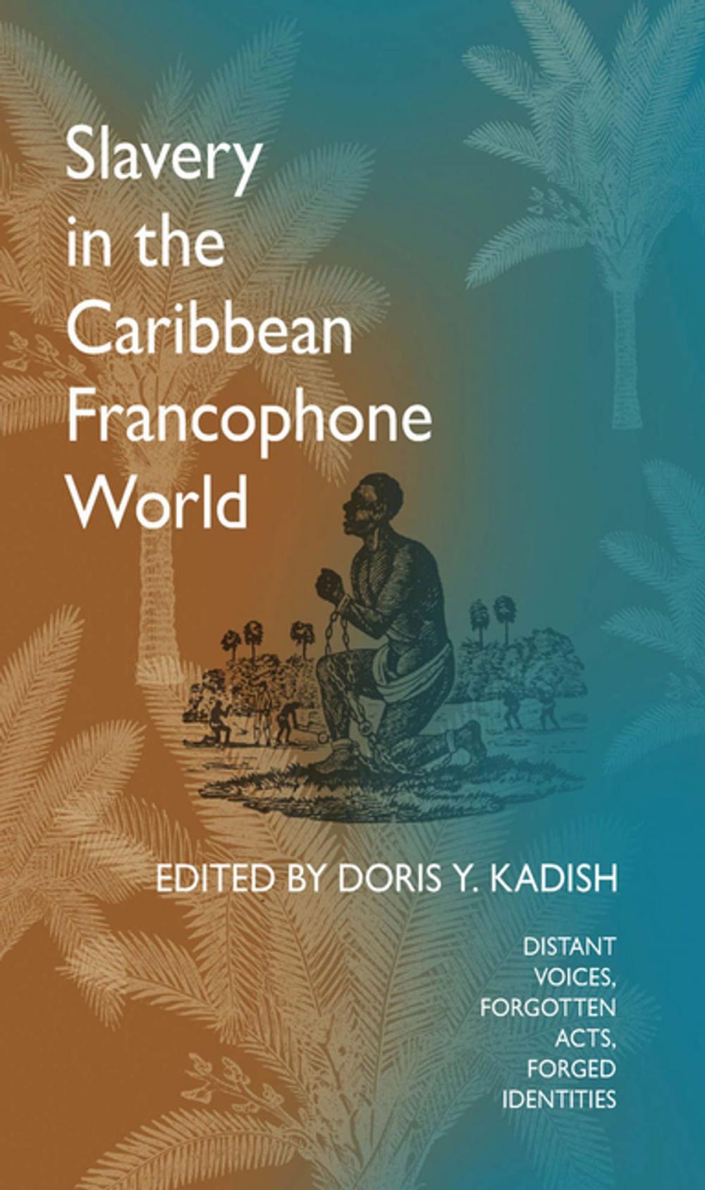 Big bigCover of Slavery in the Caribbean Francophone World