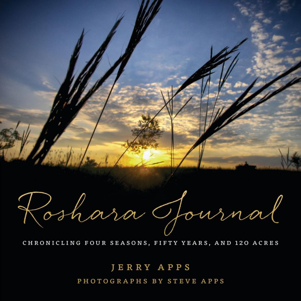 Big bigCover of Roshara Journal