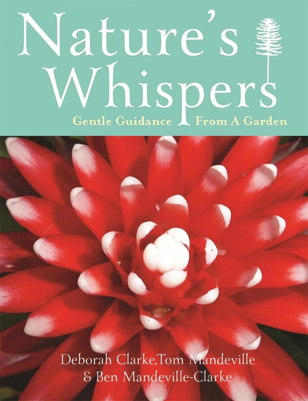 Big bigCover of Nature's Whispers