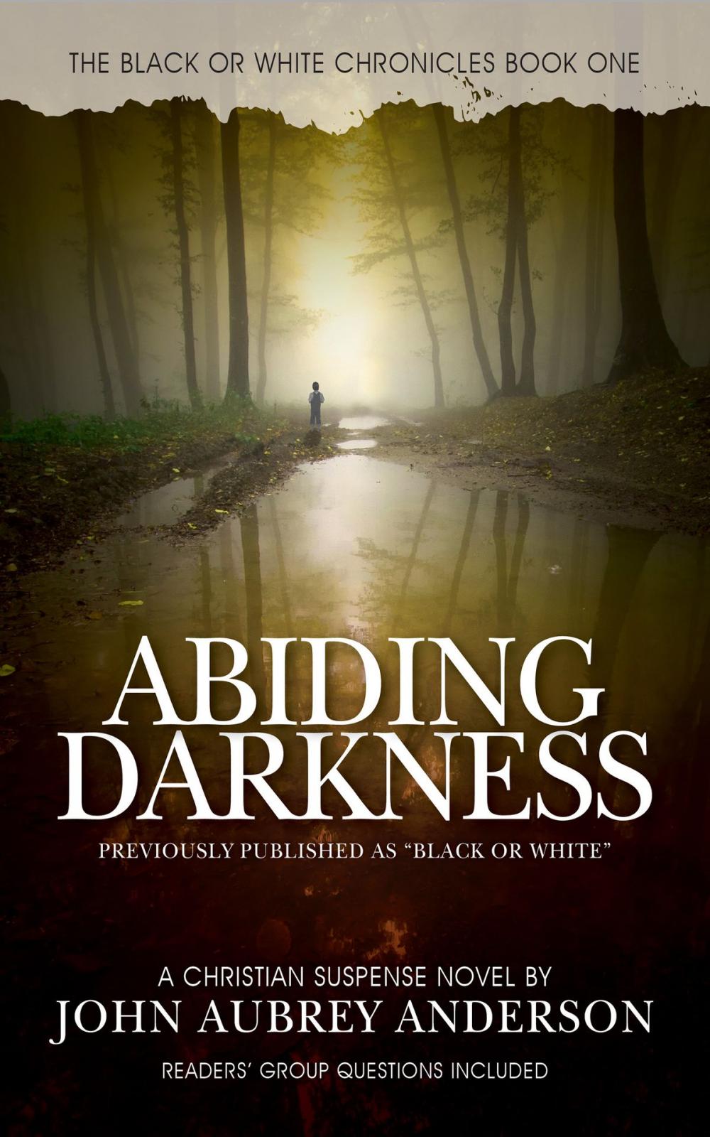 Big bigCover of ABIDING DARKNESS