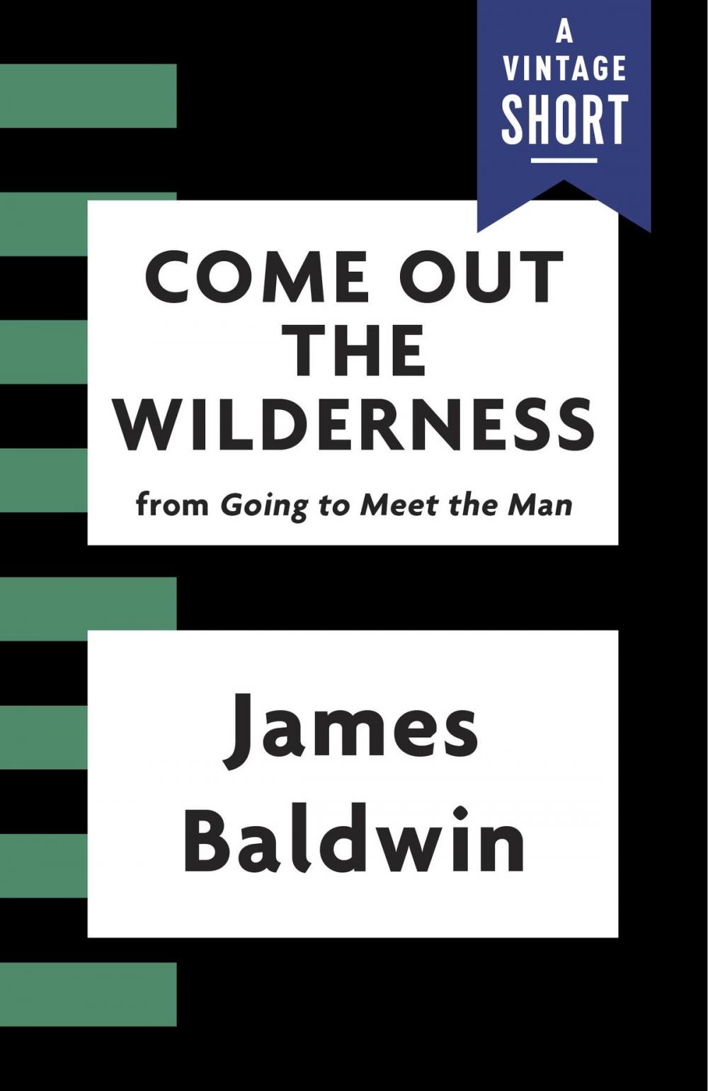 Big bigCover of Come Out the Wilderness