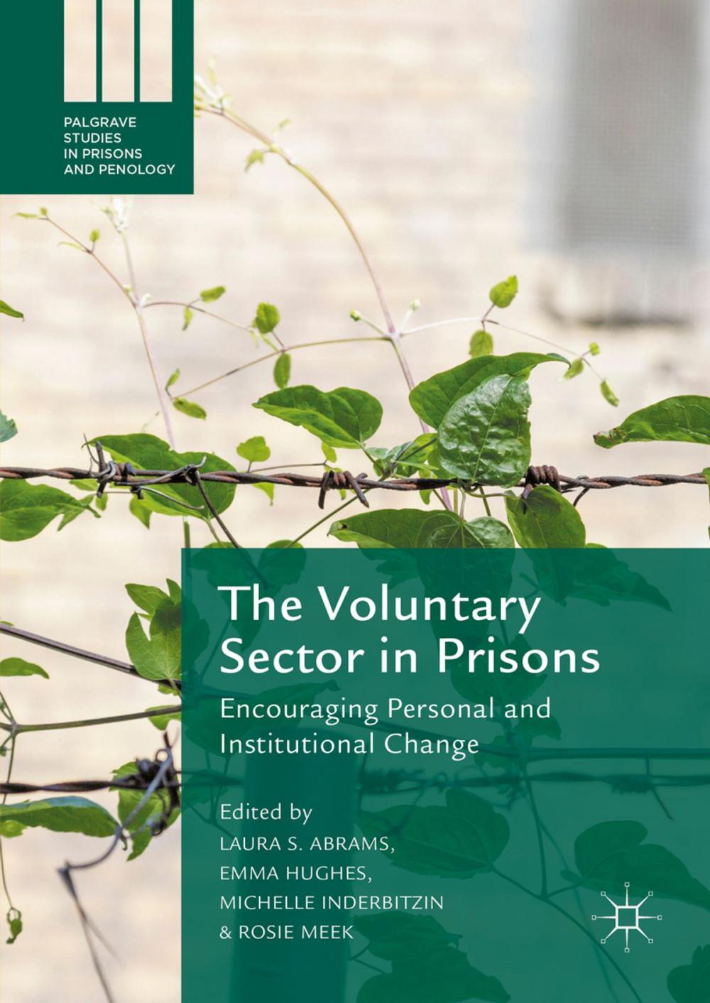 Big bigCover of The Voluntary Sector in Prisons