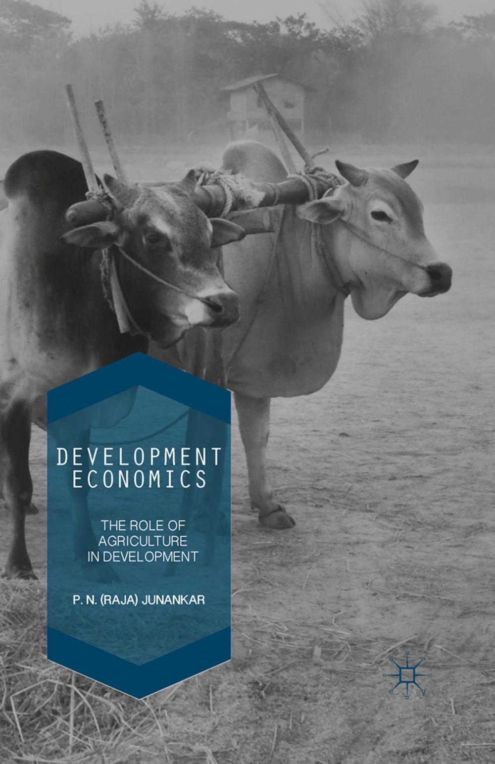 Big bigCover of Development Economics