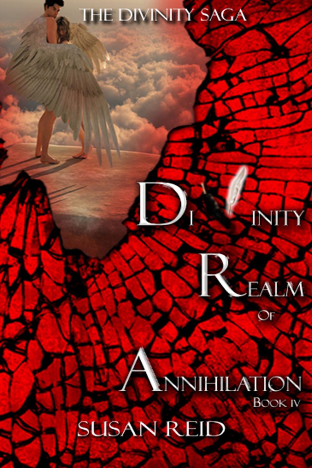 Big bigCover of Divinity: Realm of Annihilation: Book Four