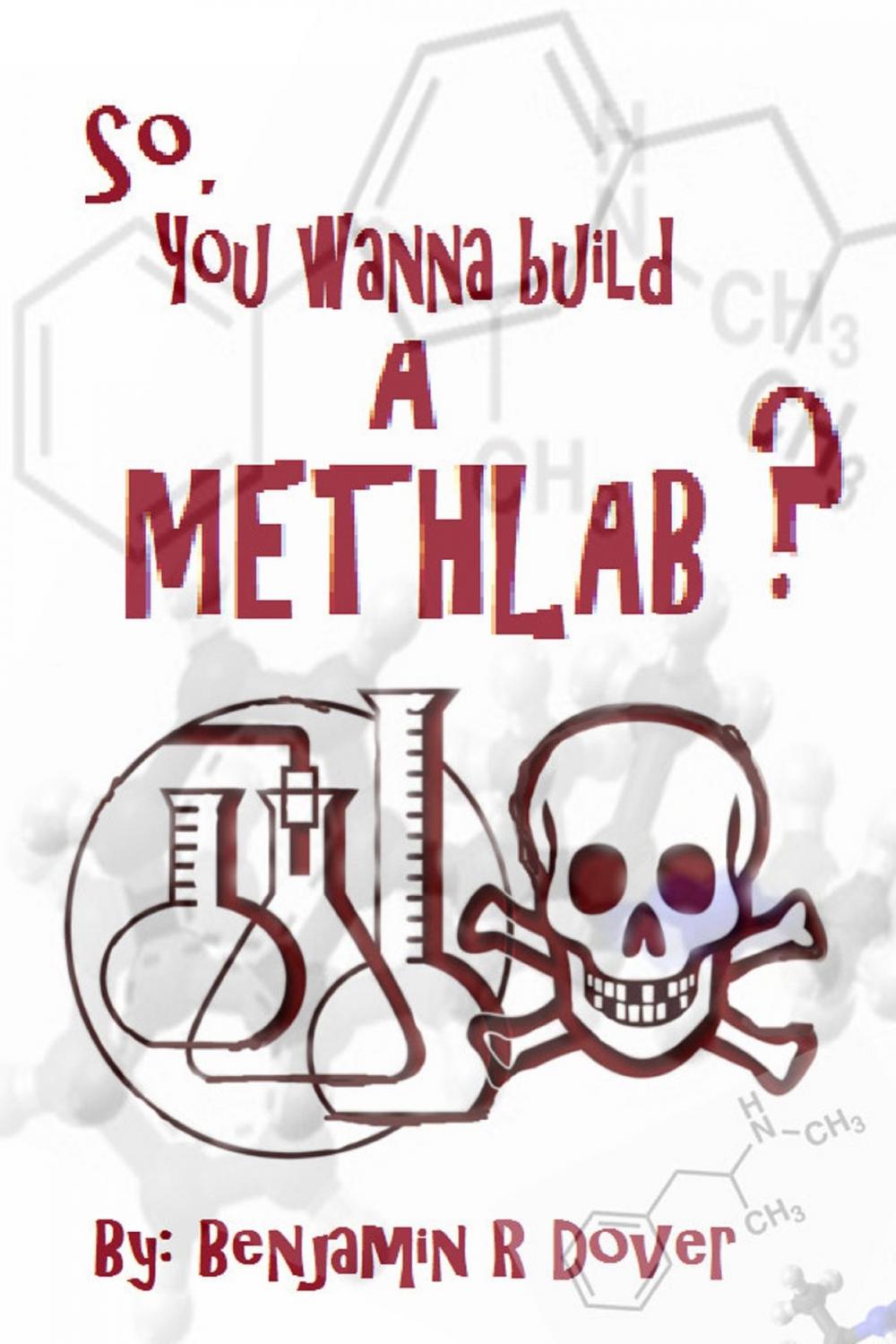 Big bigCover of So, You Wanna Build A Methlab?