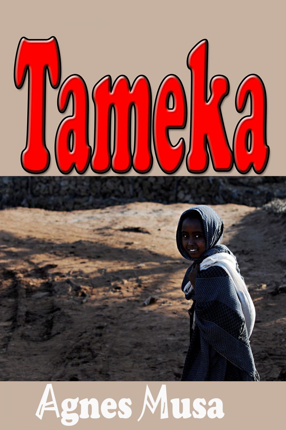 Big bigCover of Tameka