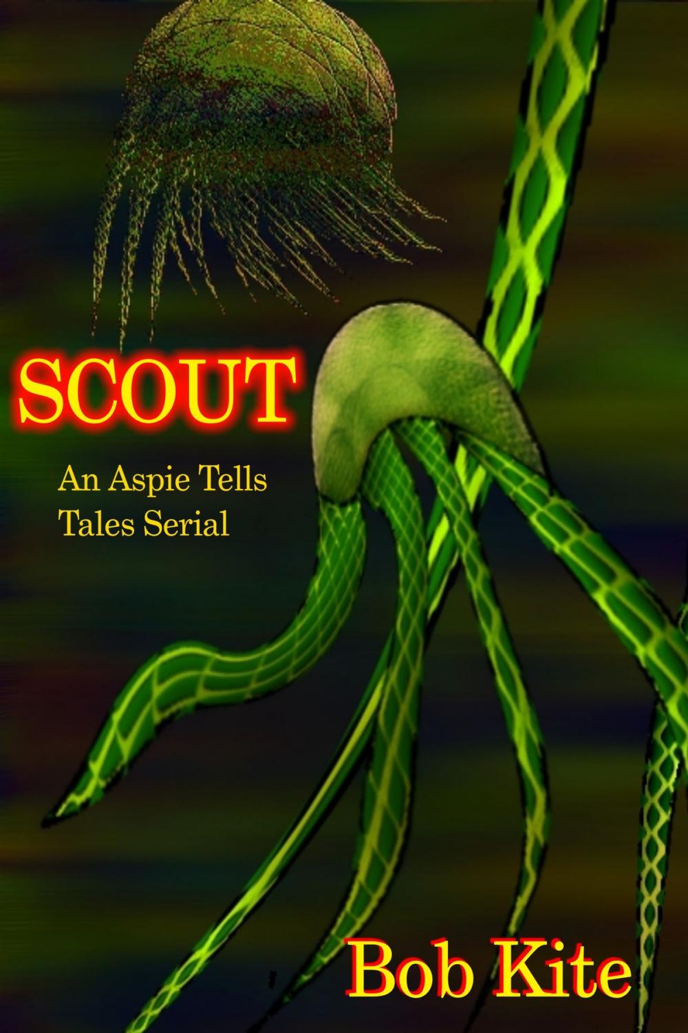 Big bigCover of Scout