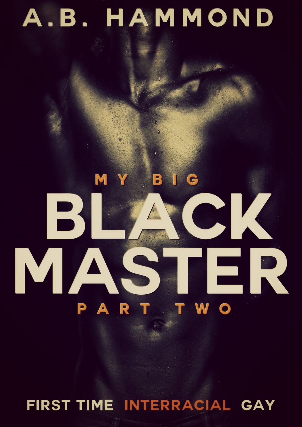 Big bigCover of My Big Black Master: Book Two