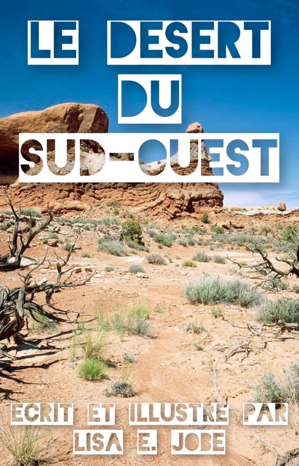 Big bigCover of Le Desert du Sud-Ouest