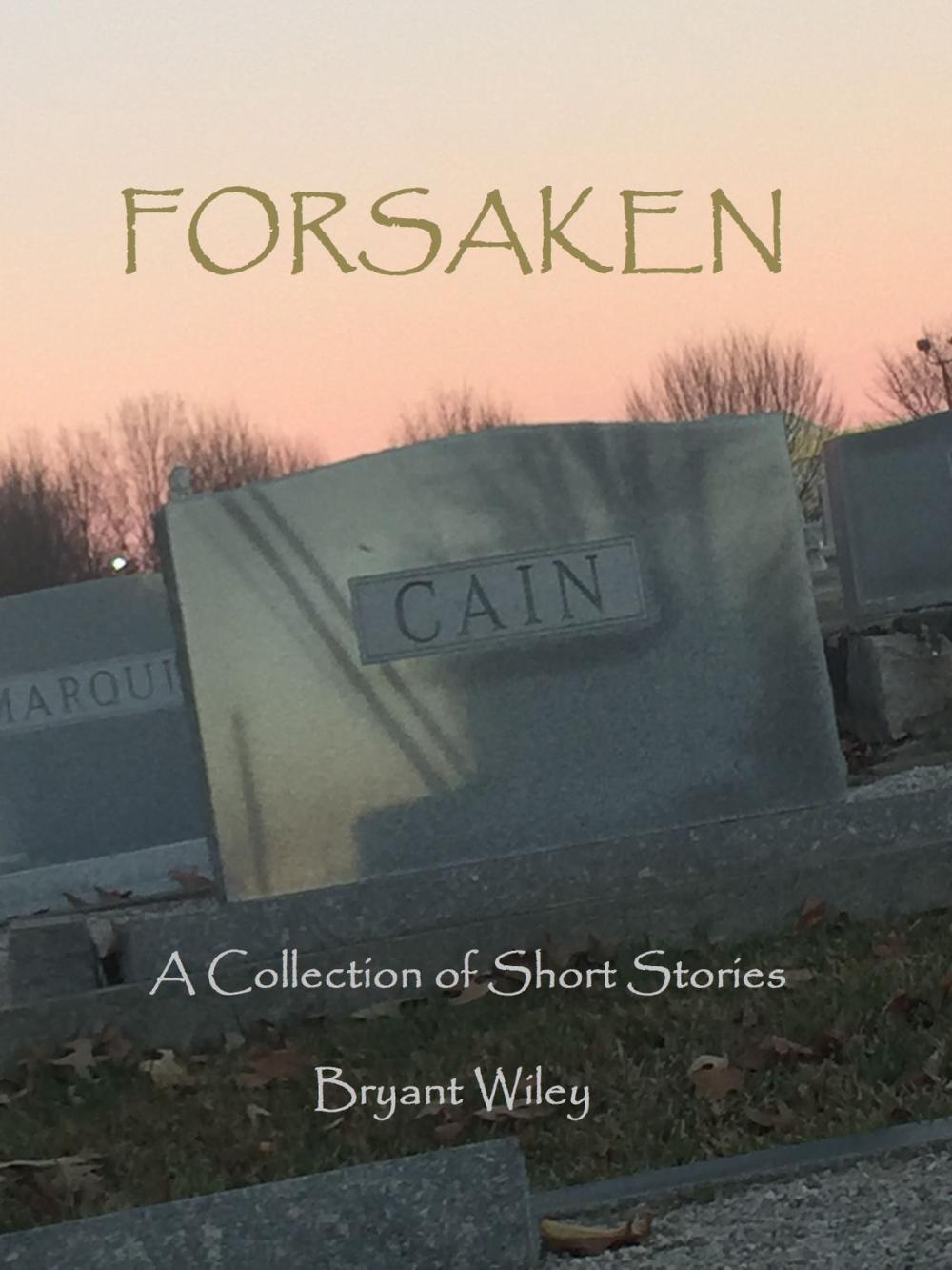 Big bigCover of Forsaken: A Collection of Short Stories