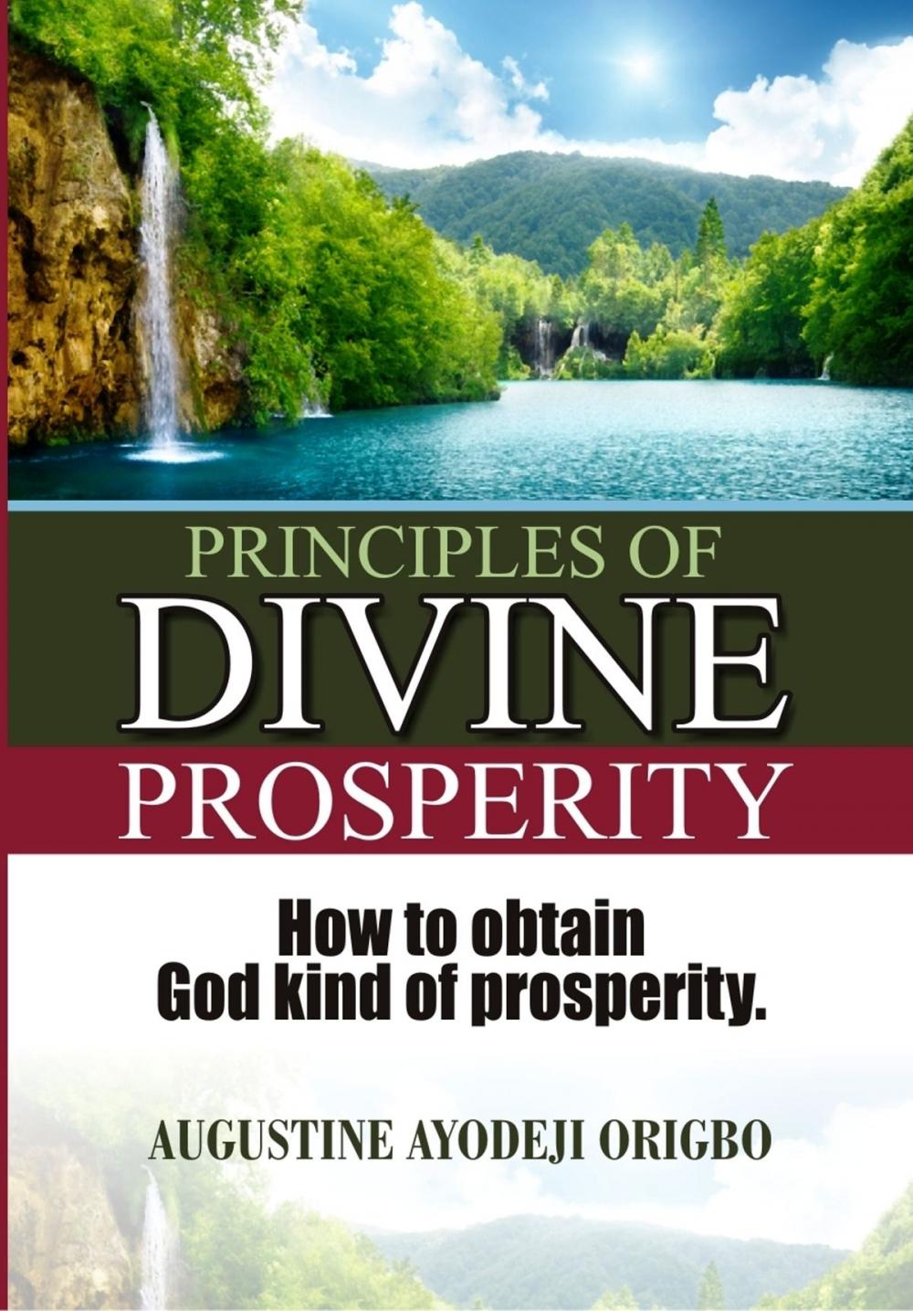 Big bigCover of Principles Of Divine Prosperity.