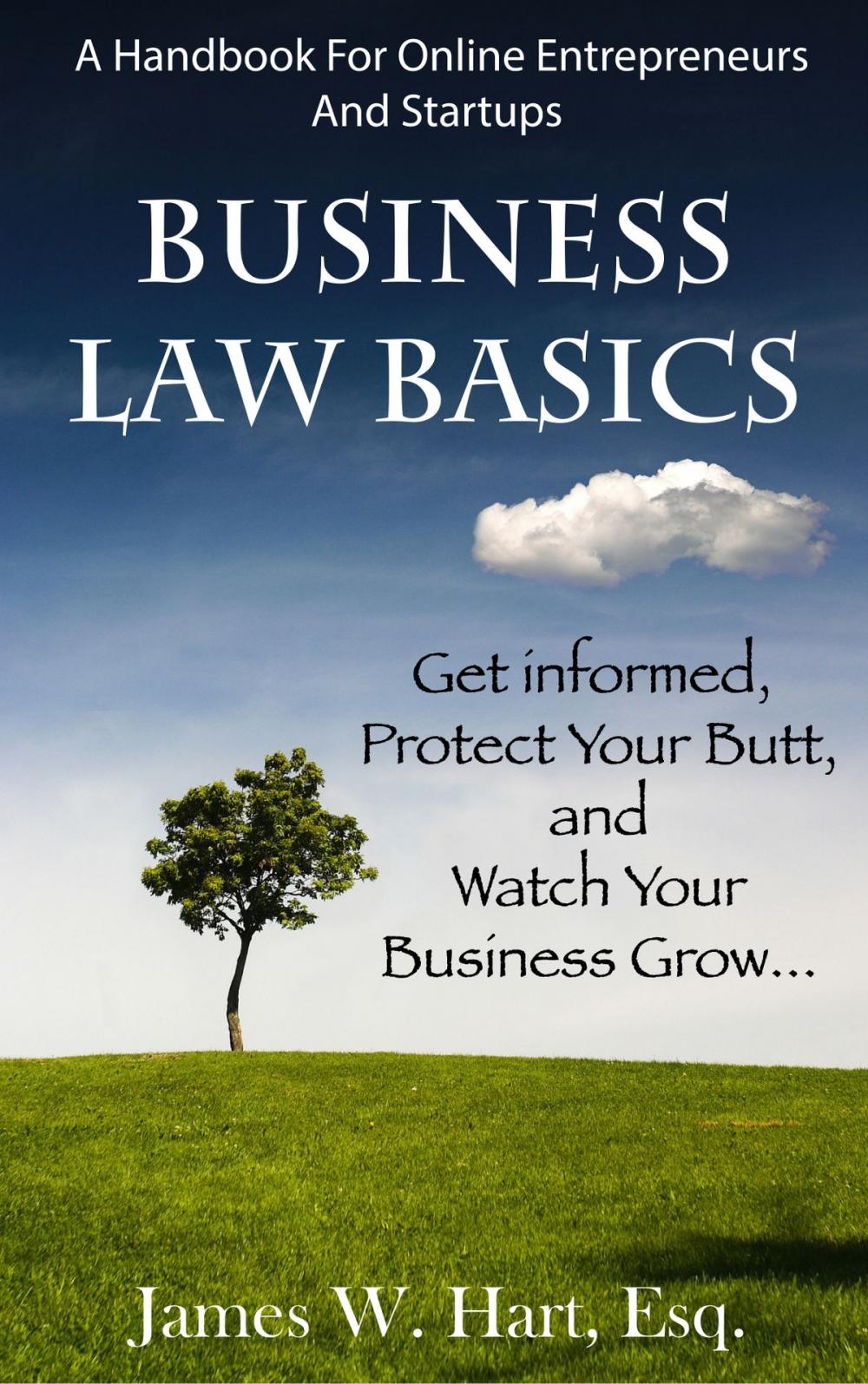 Big bigCover of Business Law Basics: A Legal Handbook for Online Entrepreneurs and Startup Businesses