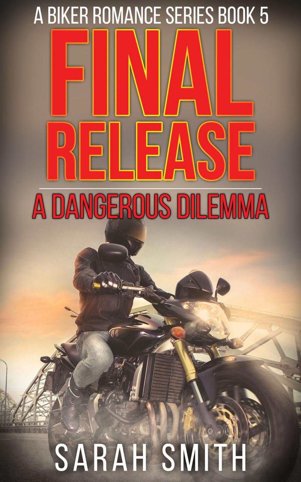 Big bigCover of Final Release: A Dangerous Dilemma: A Biker Romance Series 5